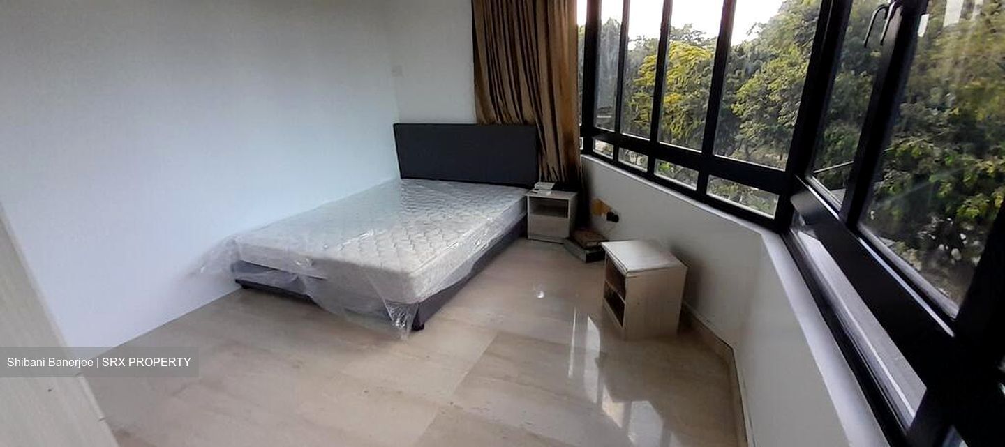 Balmoral Gate (D10), Condominium #482935451